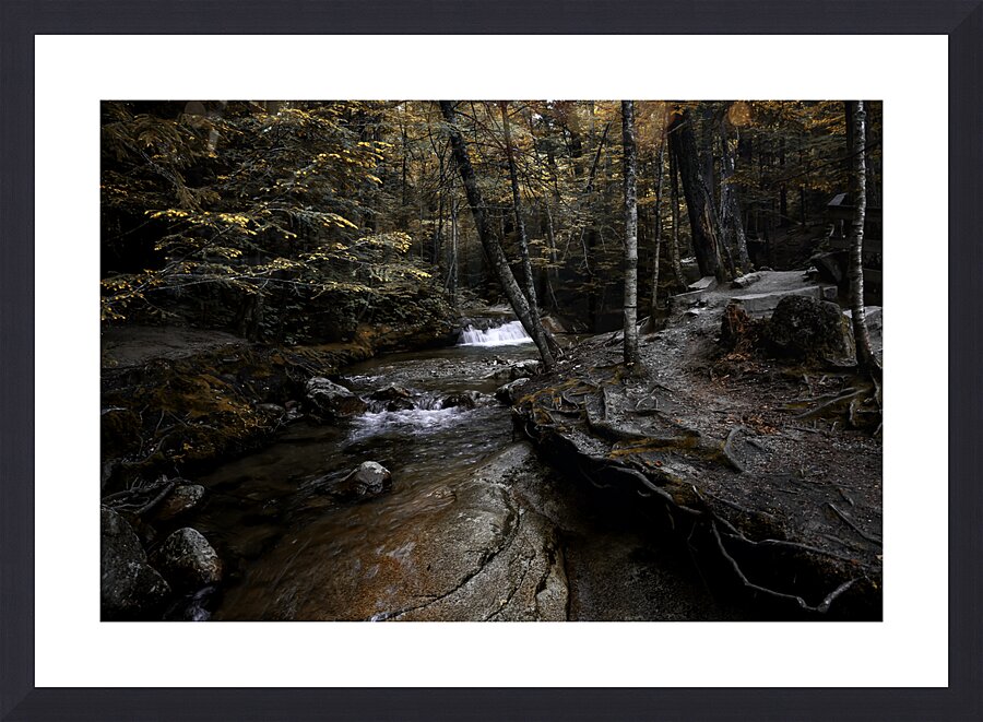 Autumn Cascade Picture Frame Printing
