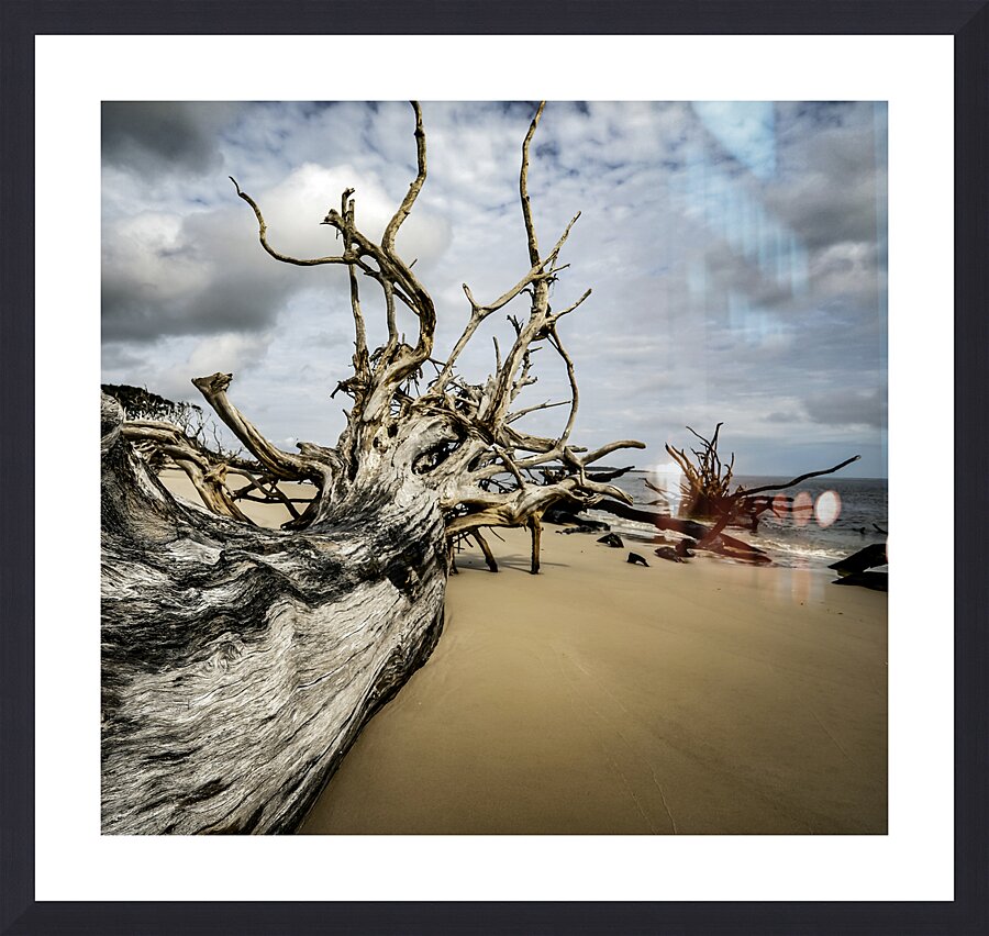 Silent Guardian Picture Frame Printing