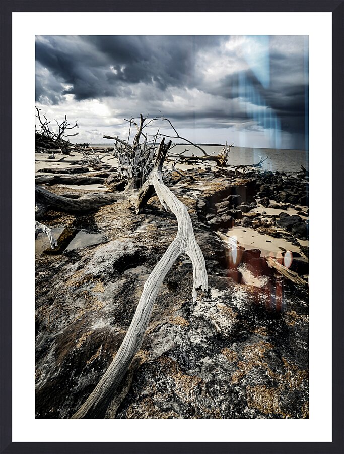 Nature s Drama Picture Frame Printing