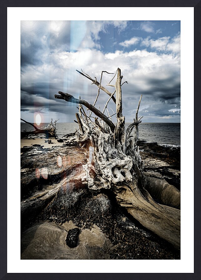 Driftwood Symphony Picture Frame Printing