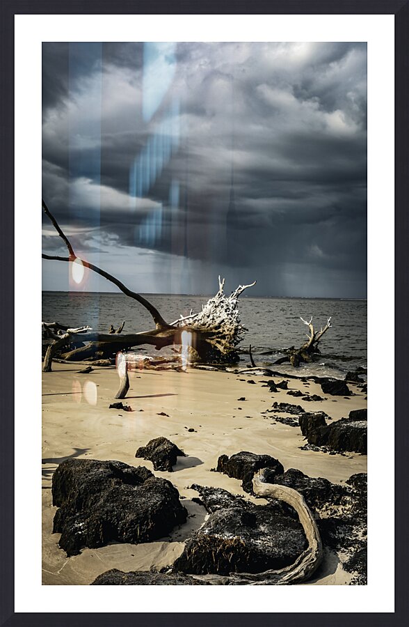 Natures Duality Picture Frame Printing