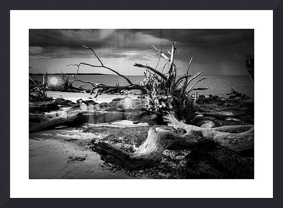 Tempest Trace Picture Frame Printing