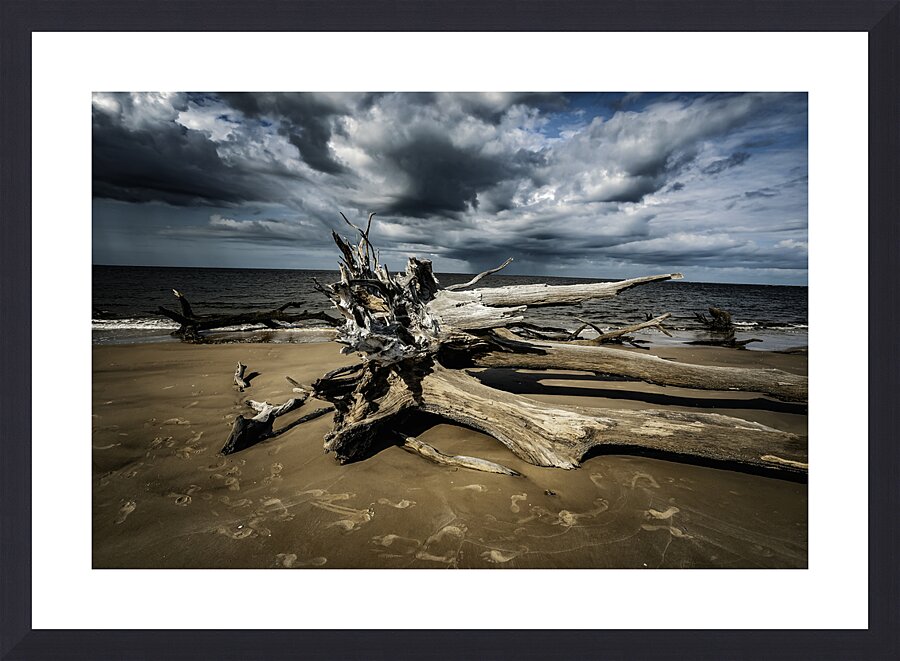 Legacy of The Tides Picture Frame Printing