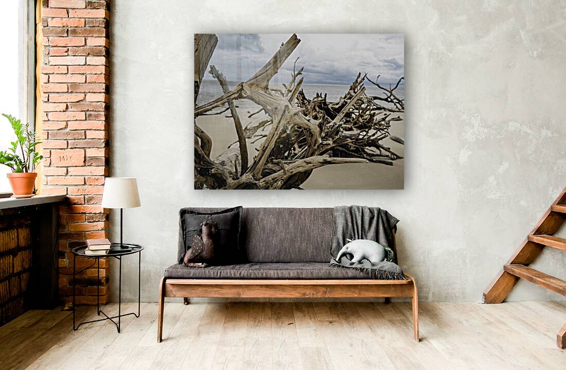 Snail Sanctuary Reproduction