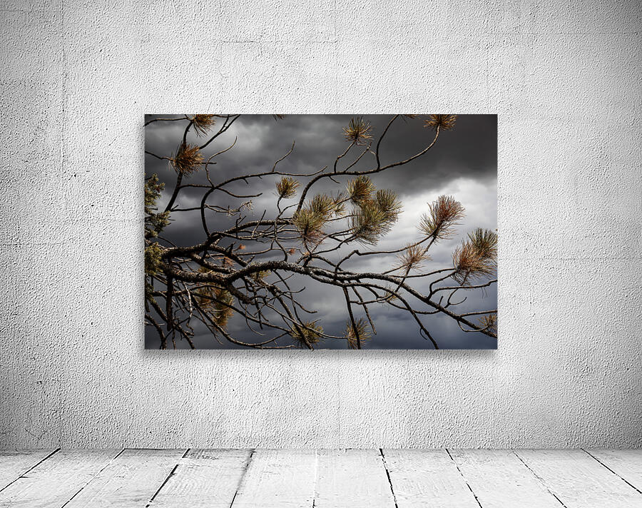 Crimson Storm Wall Preview