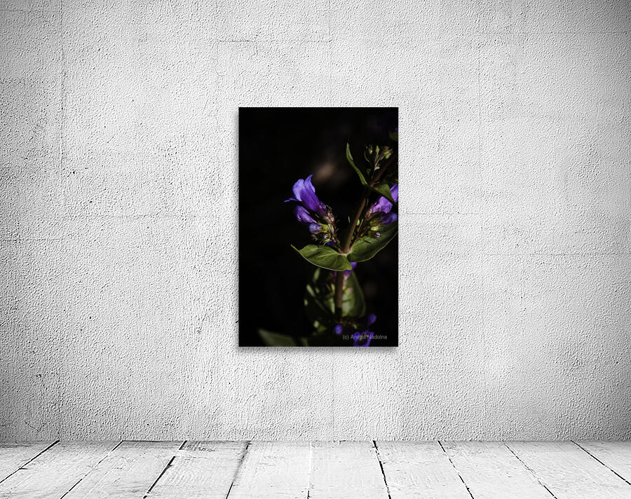 Elegance in Violet Wall Preview