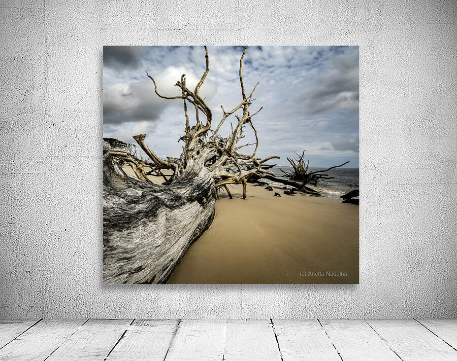 Silent Guardian Wall Preview