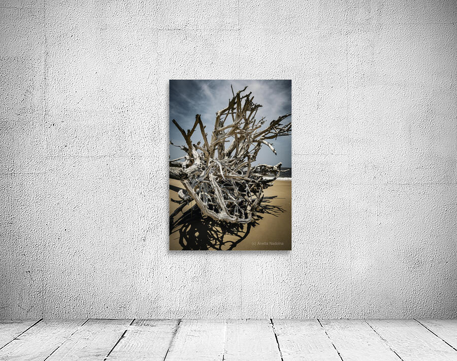 Tangled Drift Wall Preview