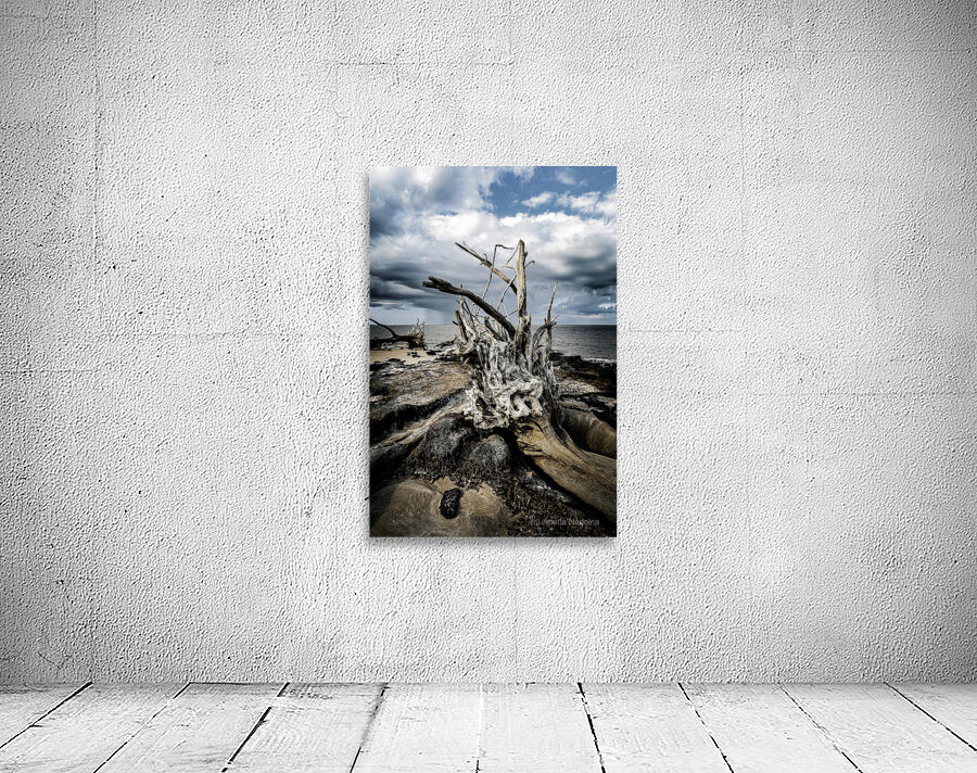 Driftwood Symphony Wall Preview