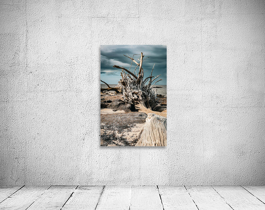 Storms Peaceful Prelude Wall Preview