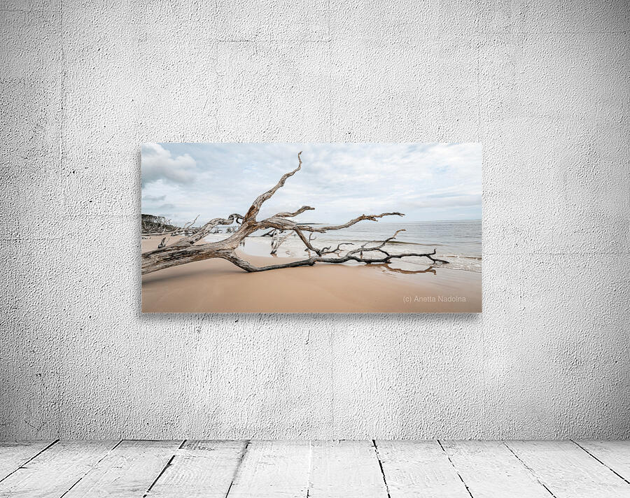 Whispers of Serenity Wall Preview