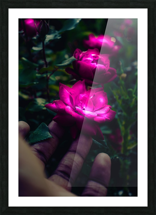 Animated Dialect Picture Frame print