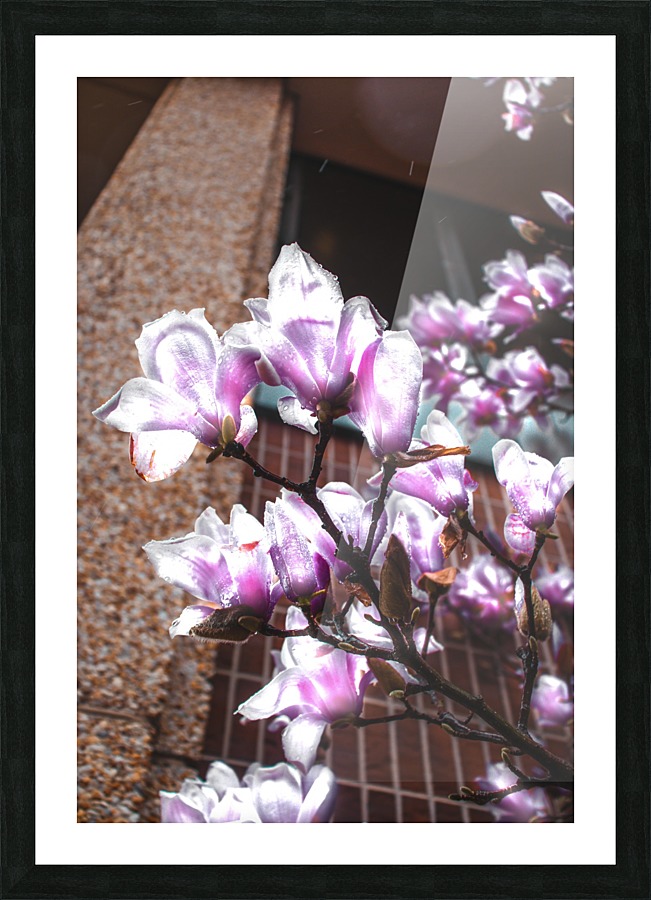 Illuminate Picture Frame print