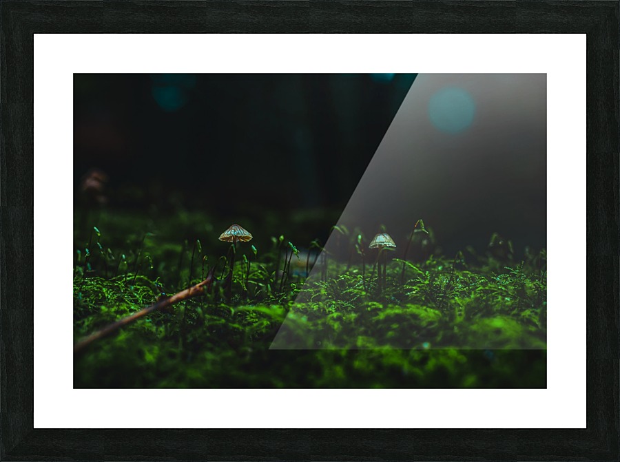 Limelight Picture Frame print