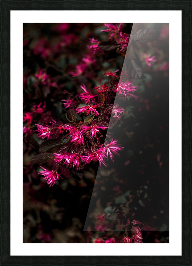 From a Distance Picture Frame print