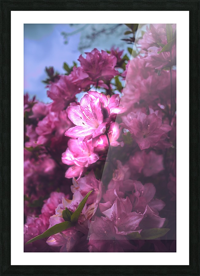 Out of Tune Picture Frame print