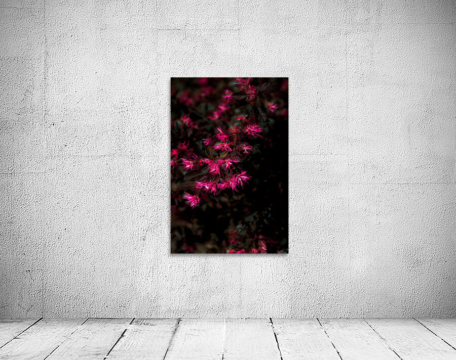 From a Distance Wall Preview