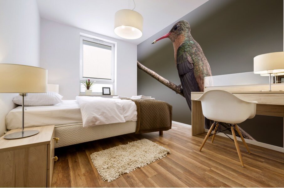 Cinnamon hummingbird Mural print