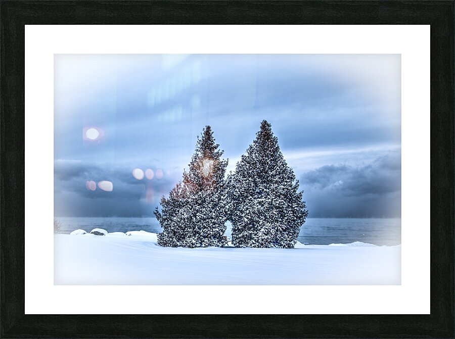 Frigid Trees Picture Frame print