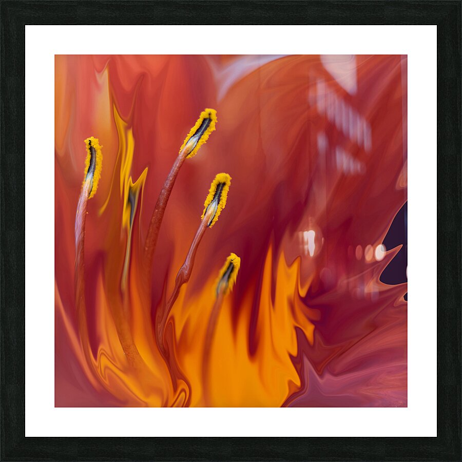 Lily on Fire Picture Frame print