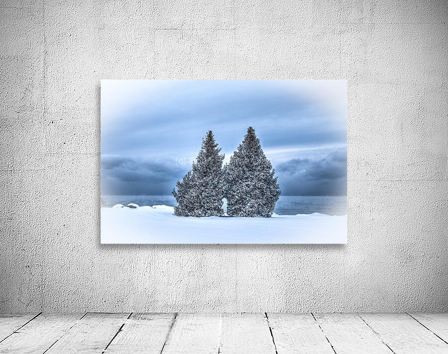 Frigid Trees Wall Preview
