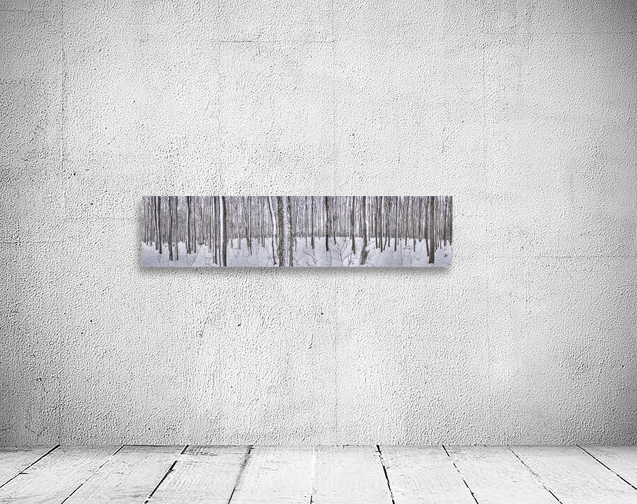 Winter Trees Wall Preview