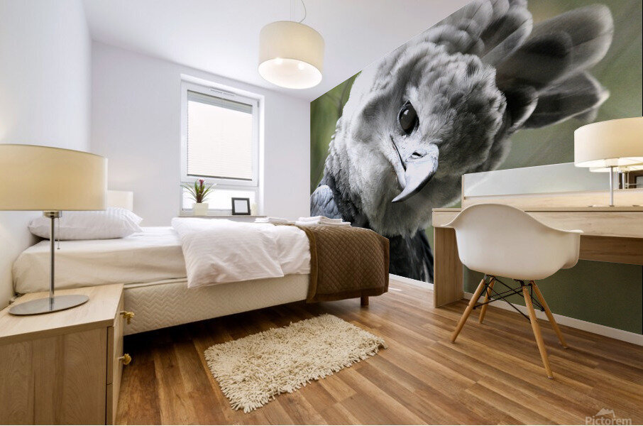 Harpy Eagle Mural print