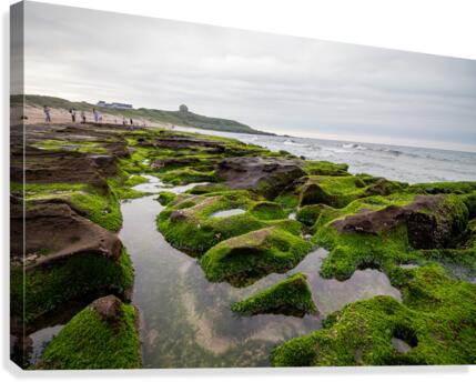 Green Reef Taiwan Canvas Print