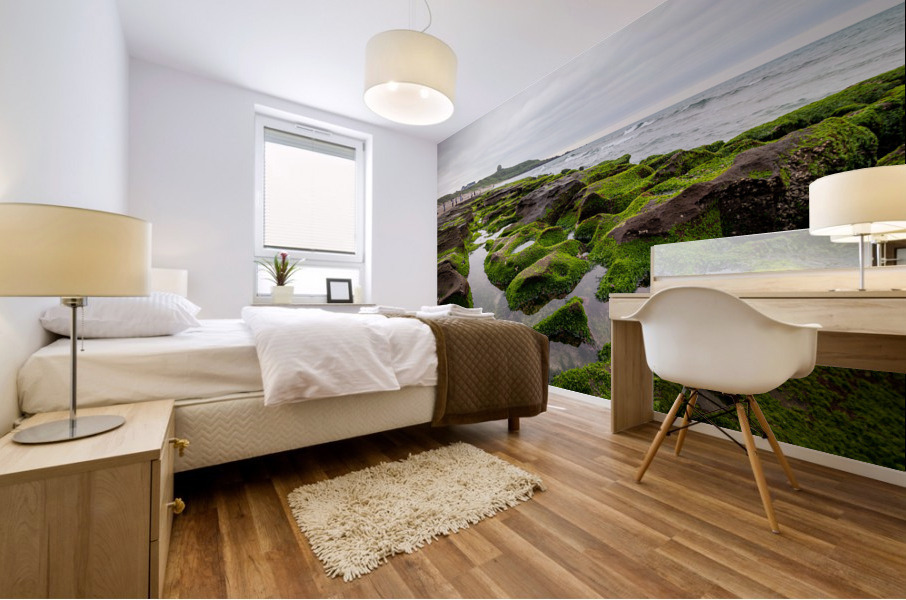 Green Reef Taiwan Mural print