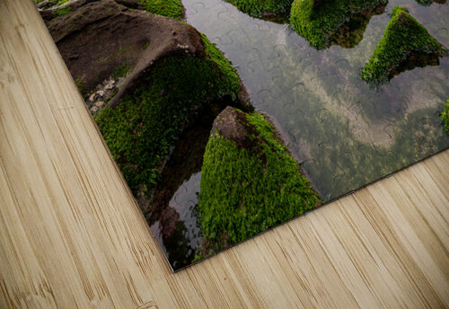 Green Reef Taiwan Jairam Poupart puzzle