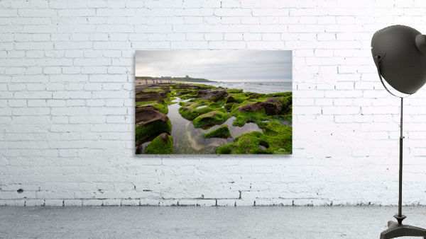 Green Reef Taiwan Wall Preview