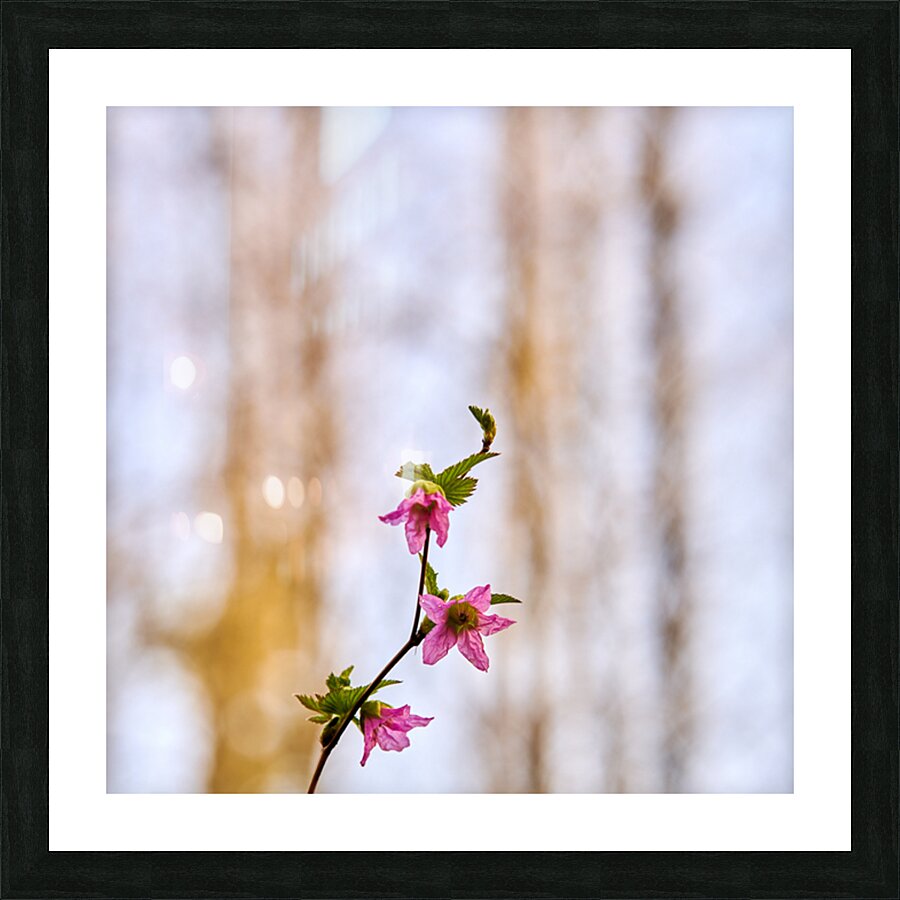 Three high Picture Frame print