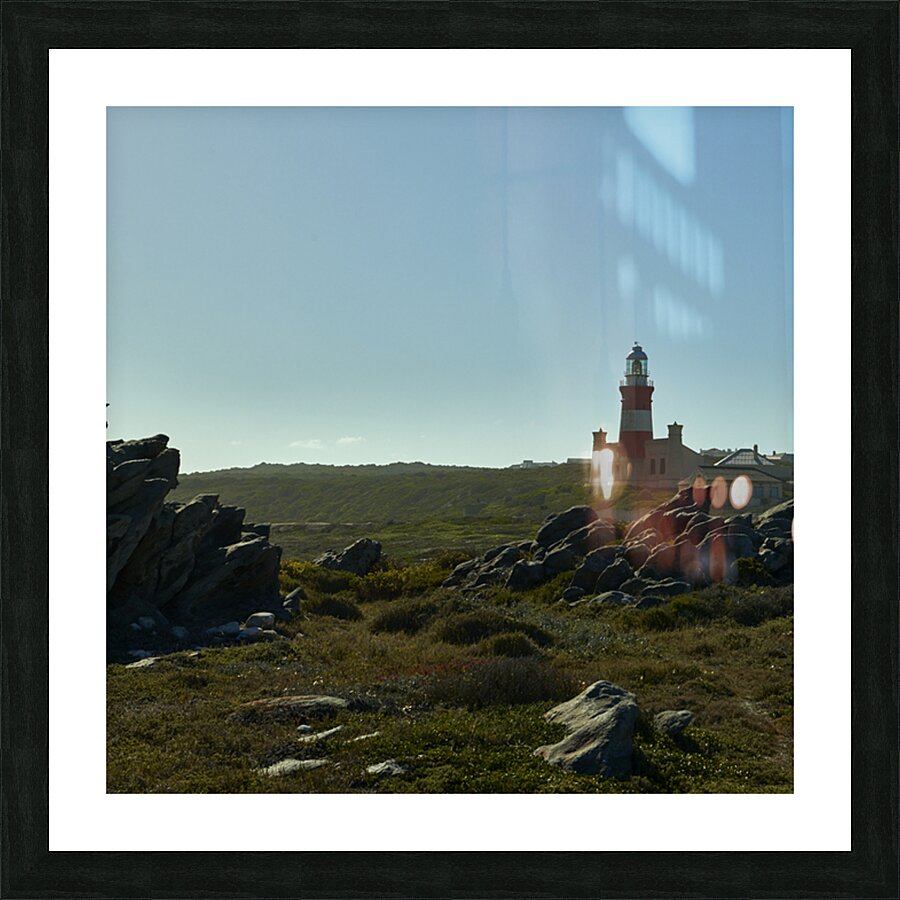 lighthouse 1 Picture Frame print