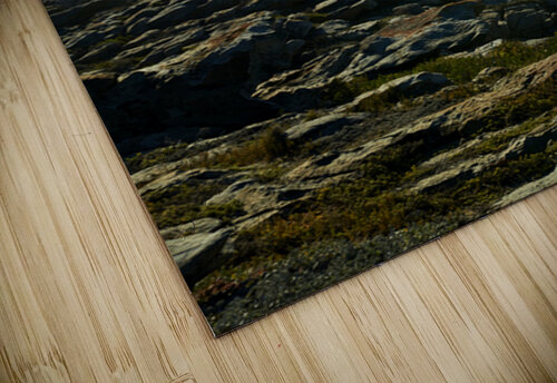lighthouse vern minard puzzle
