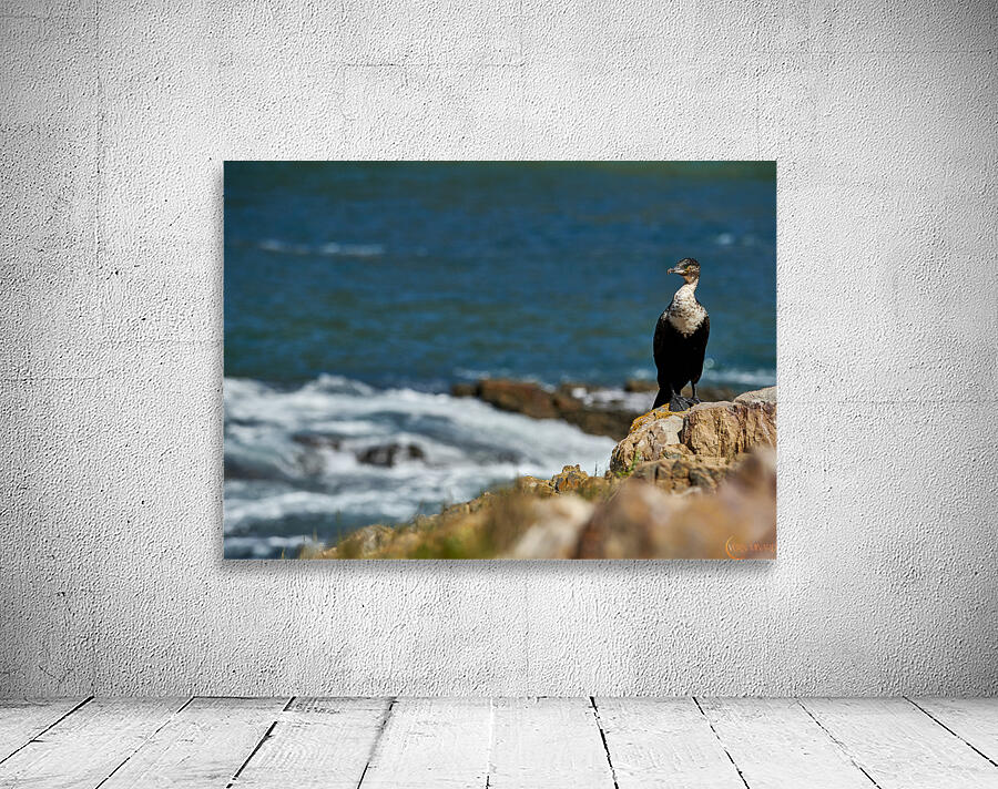 seascape 9 Wall Preview
