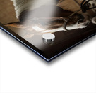 J64A9509 Acrylic print