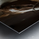 J64A9509 Metal print