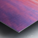 J64A0059 Metal print