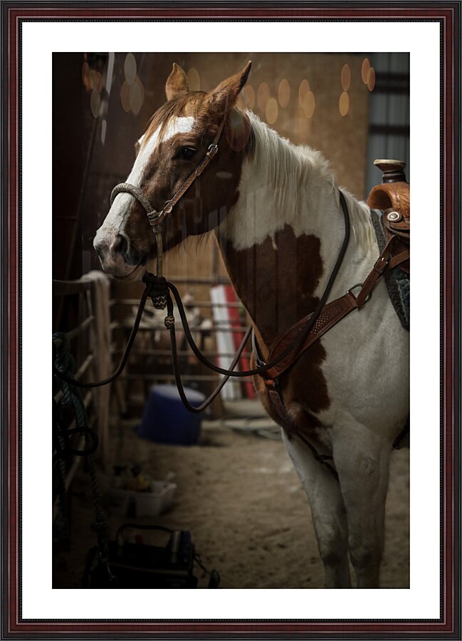 J64A9509 Picture Frame print