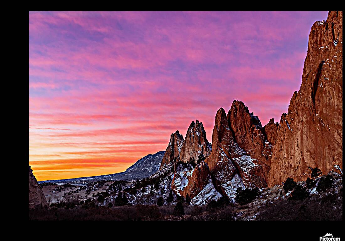 J64A0059 Reproduction