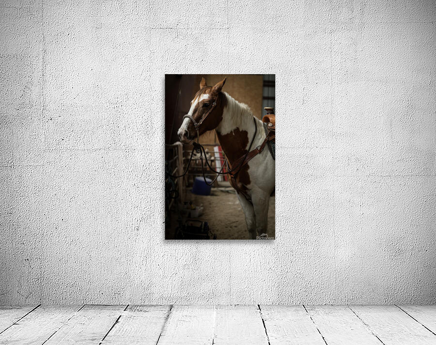 J64A9509 Wall Preview