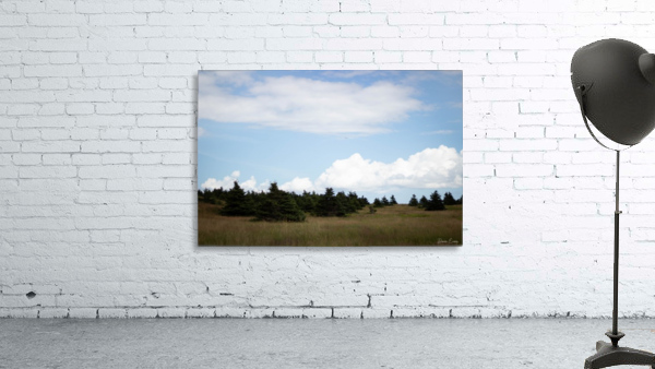 Bell Island Wall Preview