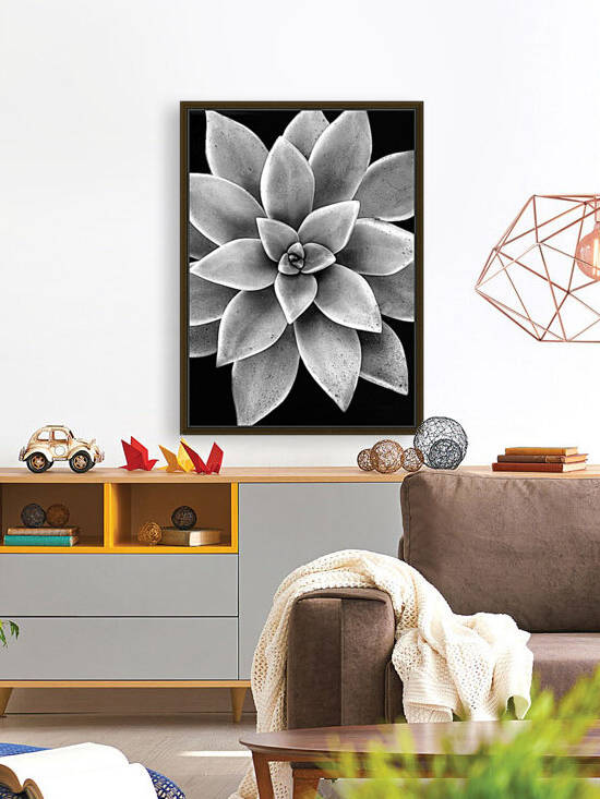 Succulent photograph  Flower photograph by Eka 