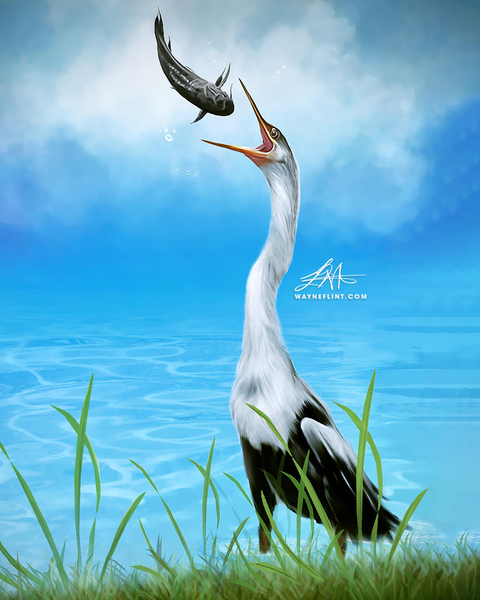 Digital Heron Digital Download