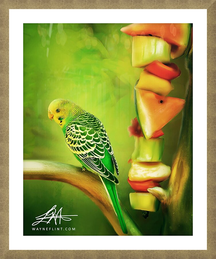 Fruit Parrot Picture Frame print