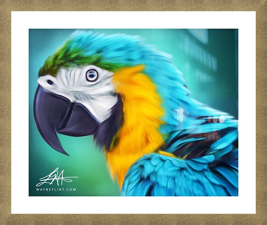 Digital Parrot  Picture Frame print