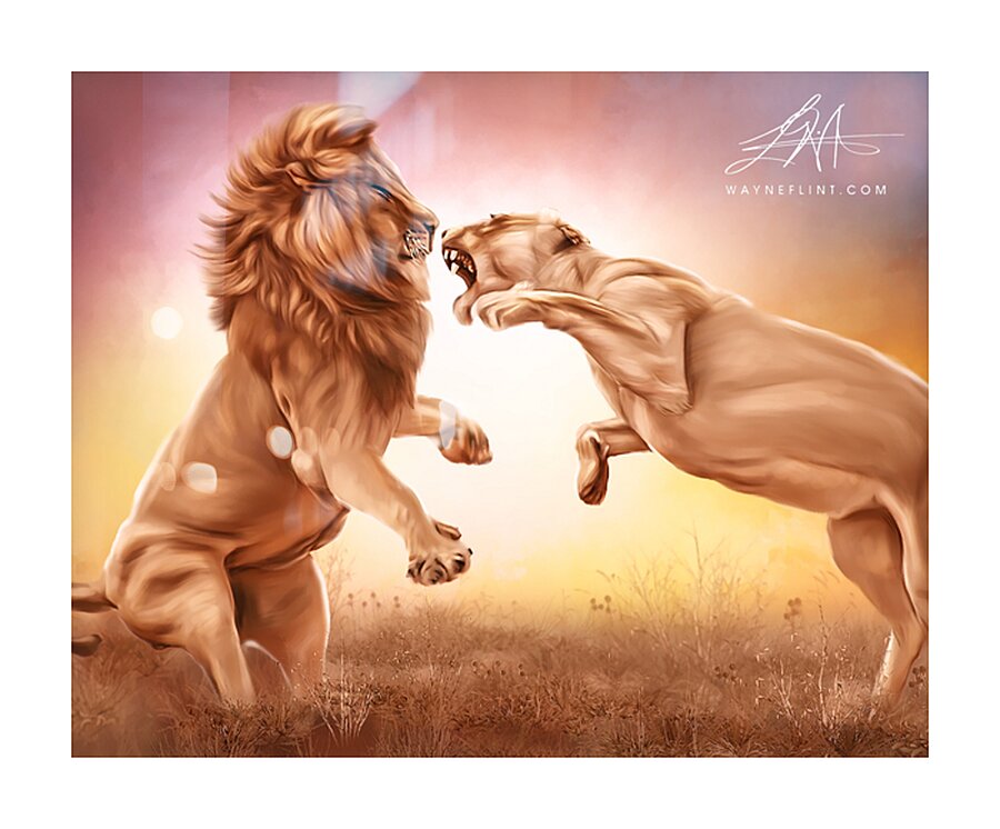 Lion Talk Picture Frame print