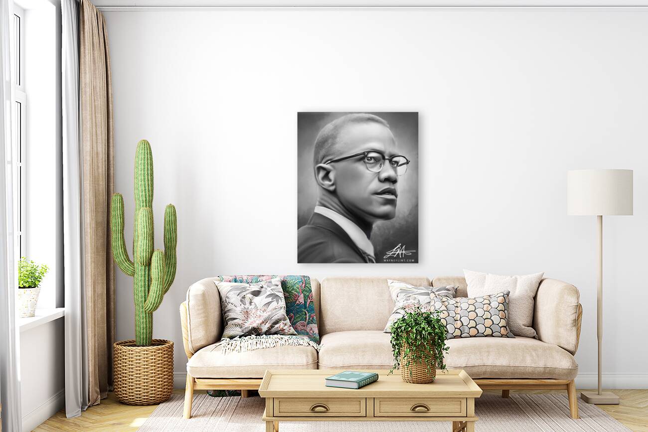Malcolm X Reproduction