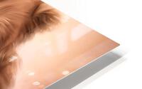 Digital Bear Impression metal HD