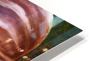 Digital Snail HD Metal print